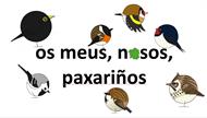 Os meus/nosos paxariños